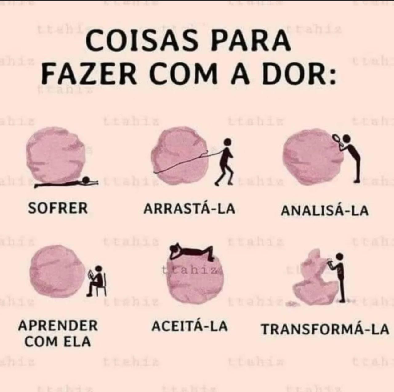 Imagem 5